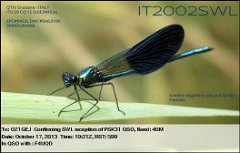 IT2002SWL (3)